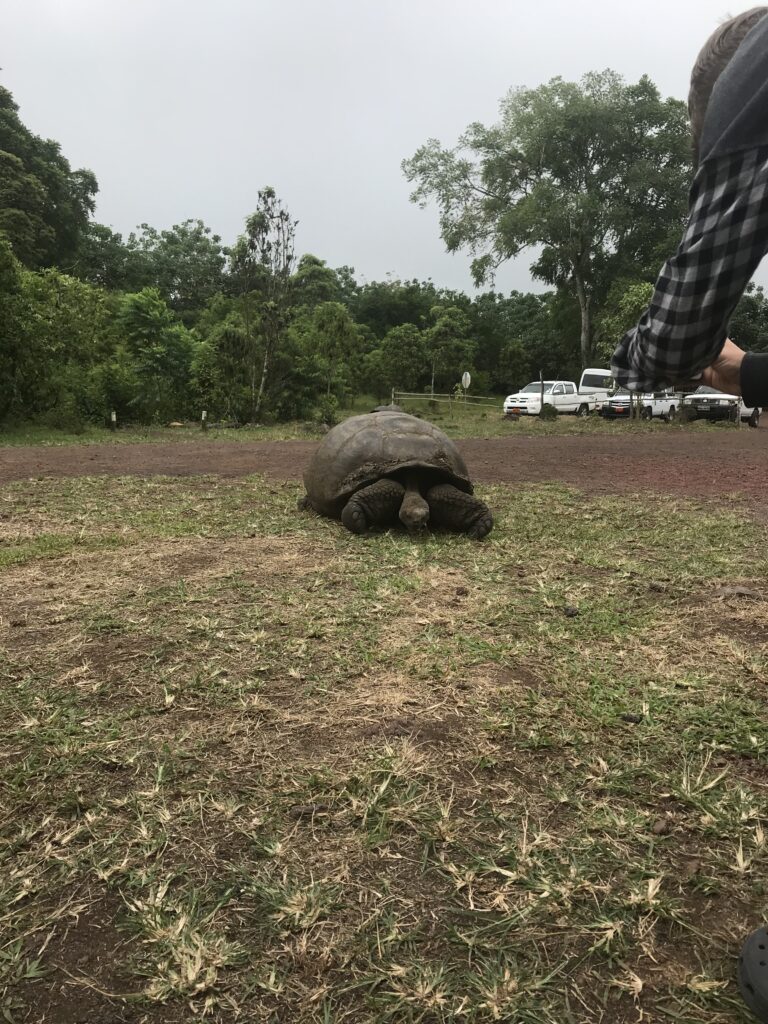 Galapagos_Spanish-con-Eunice(7)