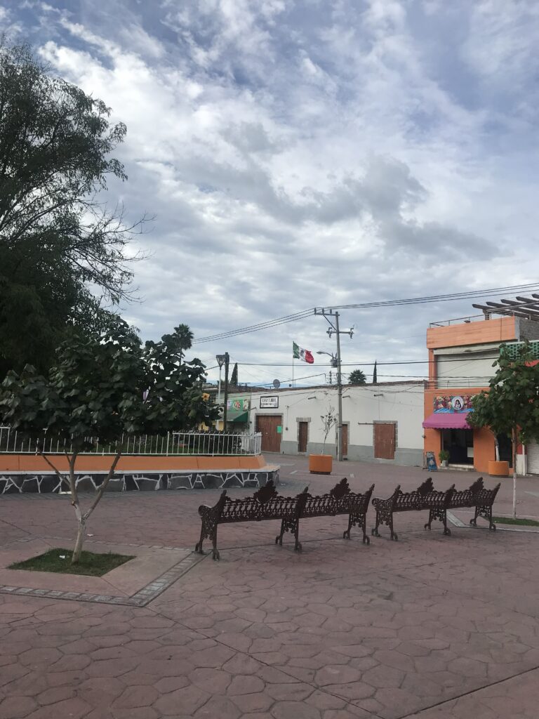 How-to-Survive-in-Mexico_Spanish-con-Eunice(11)